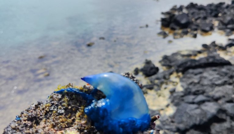 WhatsApp Image 2026 03 10 at 16.43.47