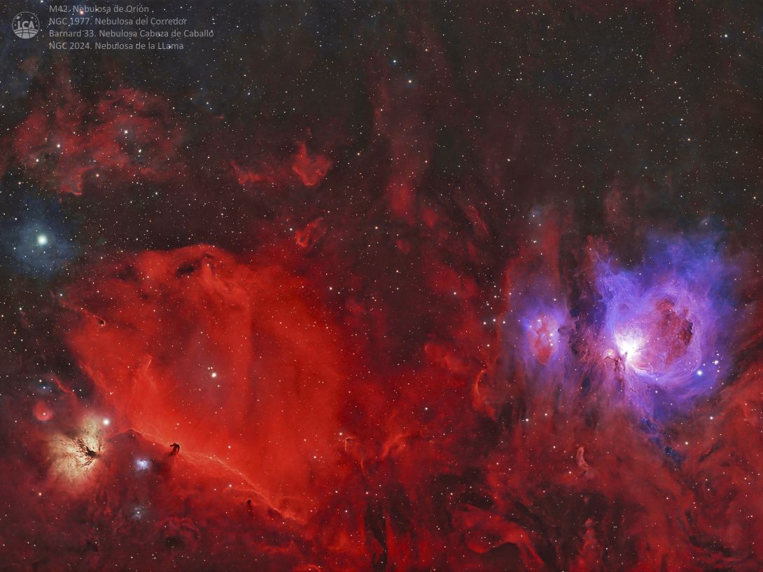 Red. Foto: Manuel Verdugo. Red. Foto: Manuel Verdugo.