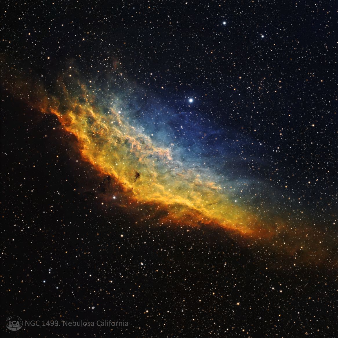 Sho Cal Star. Foto: Manuel Verdugo. Sho Cal Star. Foto: Manuel Verdugo.