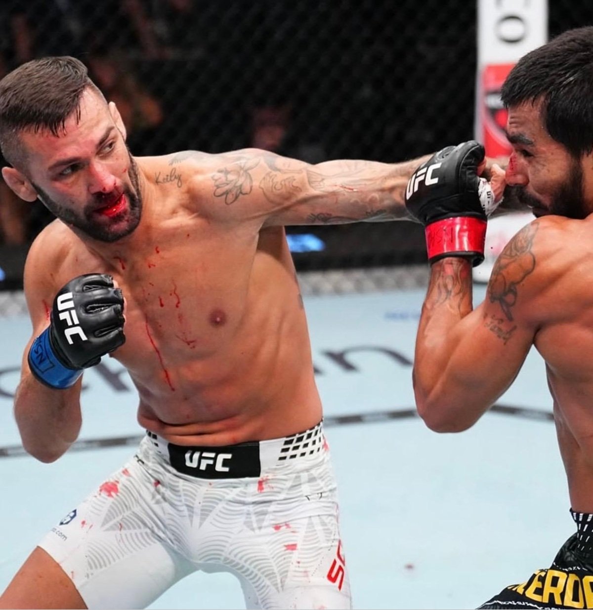 WhatsApp Image 2026 03 15 at 9.09.56 AM (1)cc