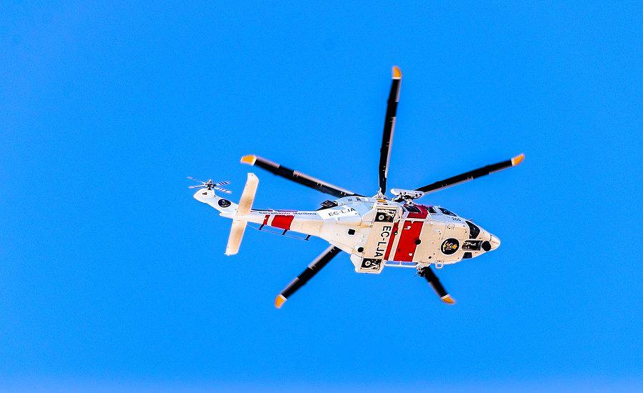 WhatsApp Image 2026 03 15 at 8.16.50 PMfff WhatsApp Image 2026 03 15 at 8.16.50 PMfff