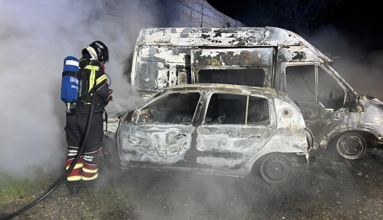 WhatsApp Image 2026 03 16 at 09.52.53 (1)