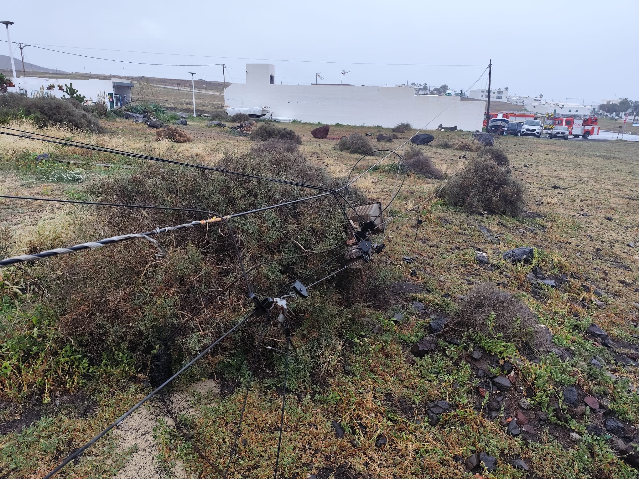 WhatsApp Image 2026 03 19 at 06.59.01