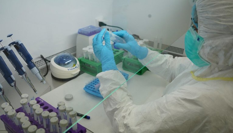 Geneticist Rosa Fregel working in the laboratory. Photo: Provided.