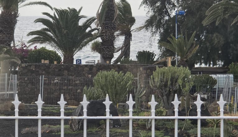 WhatsApp Image 2026 03 20 at 10.32.18 AMxx