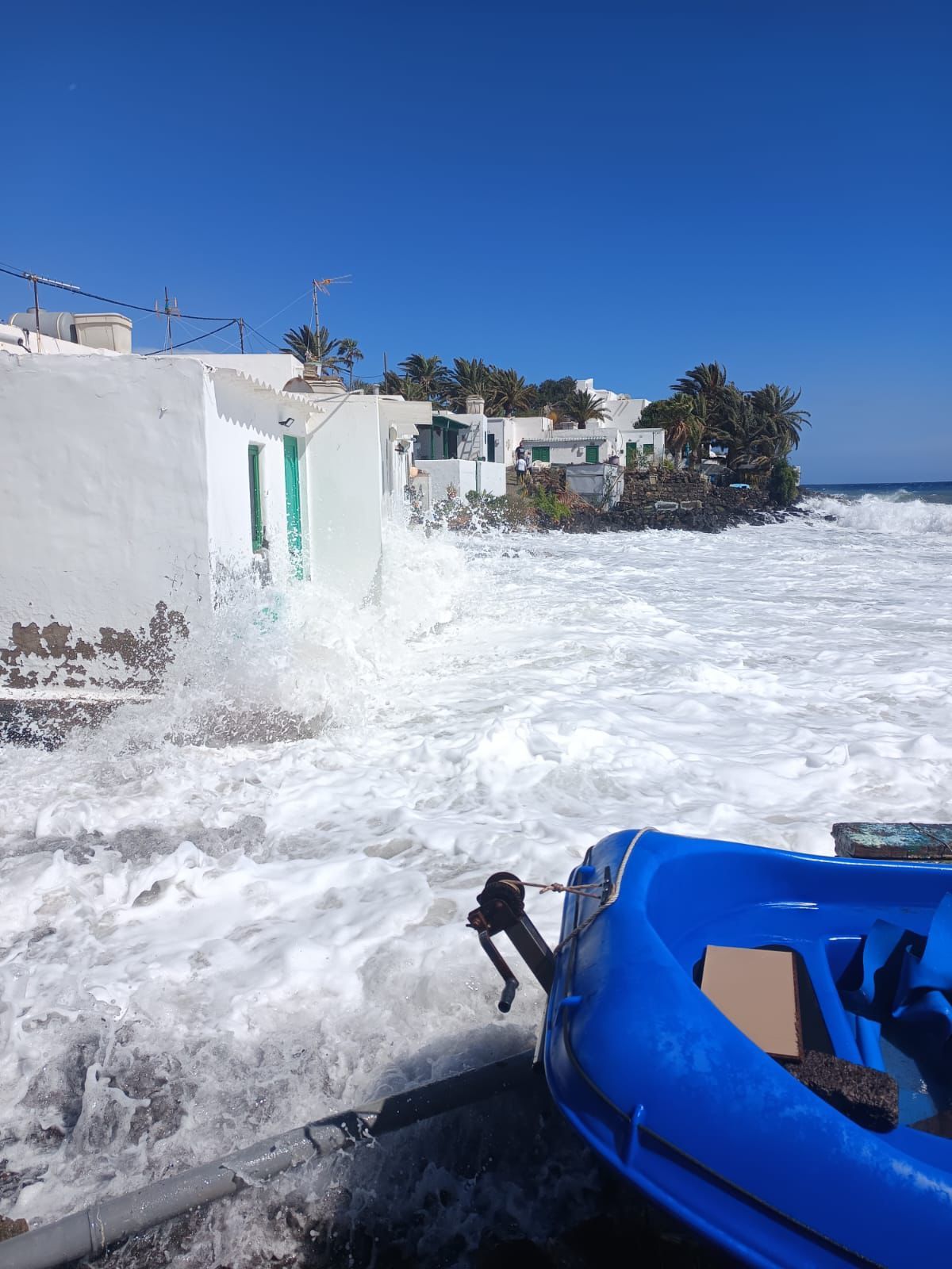 WhatsApp Image 2026 03 20 at 14.59.47 (1)