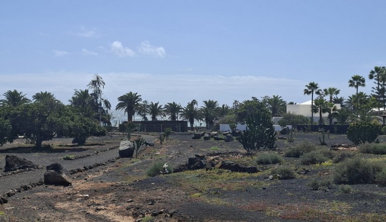 WhatsApp Image 2026 03 23 at 10.41.48 AMcc