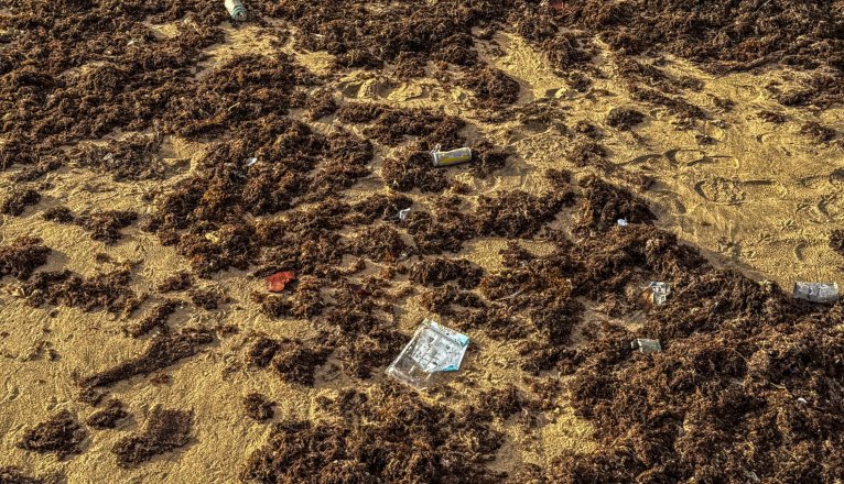 Marine litter on El Reducto beach (Arrecife). Photo: Andrea Domínguez.