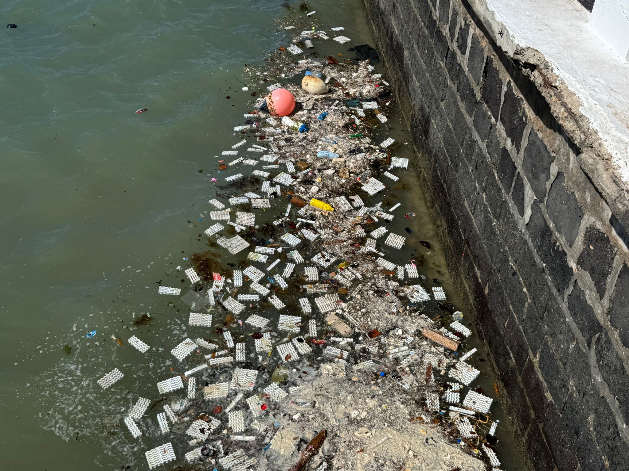 WhatsApp Image 2026 03 23 at 16.53.04