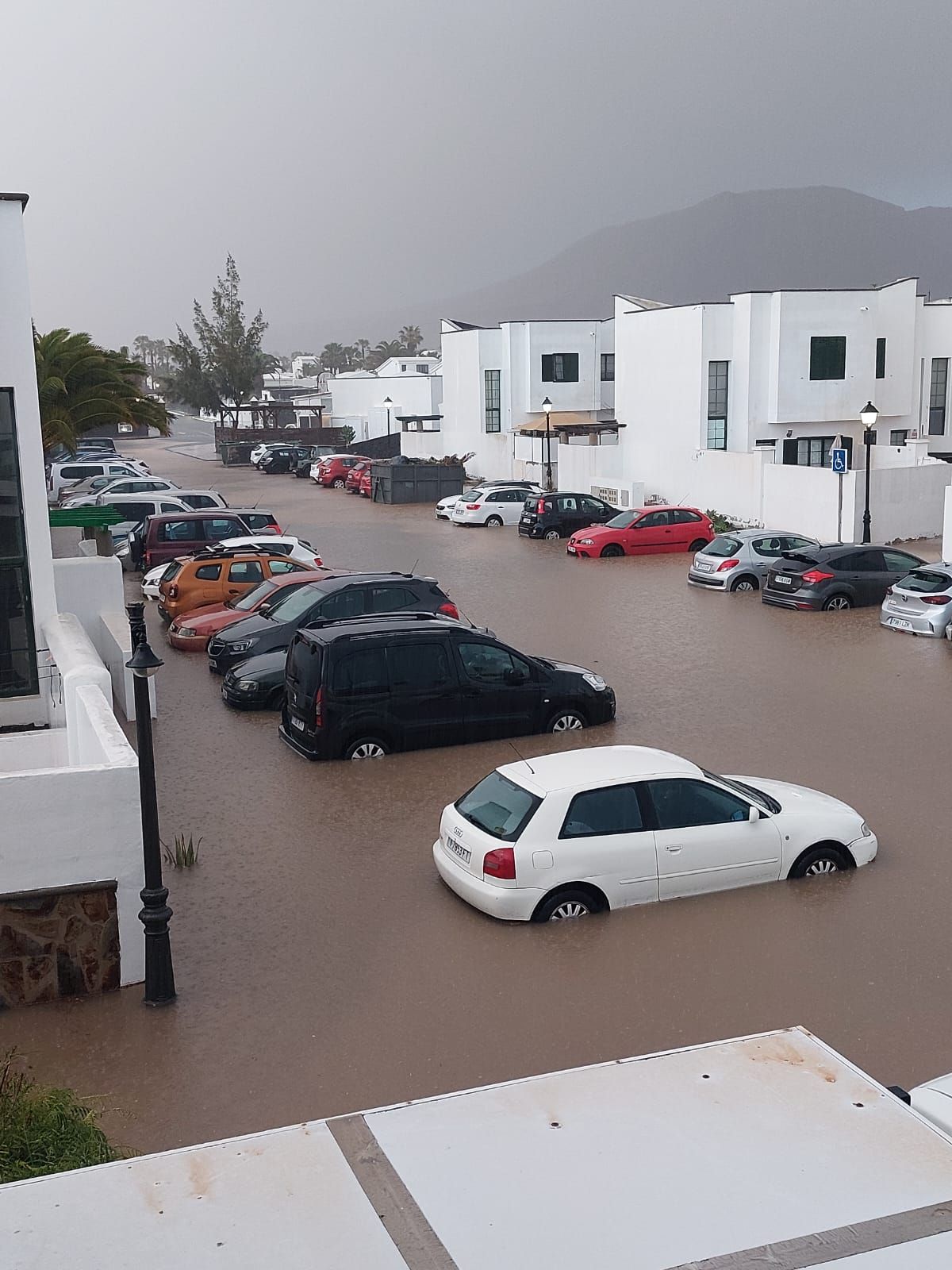 WhatsApp Image 2026 03 23 at 20.10.55