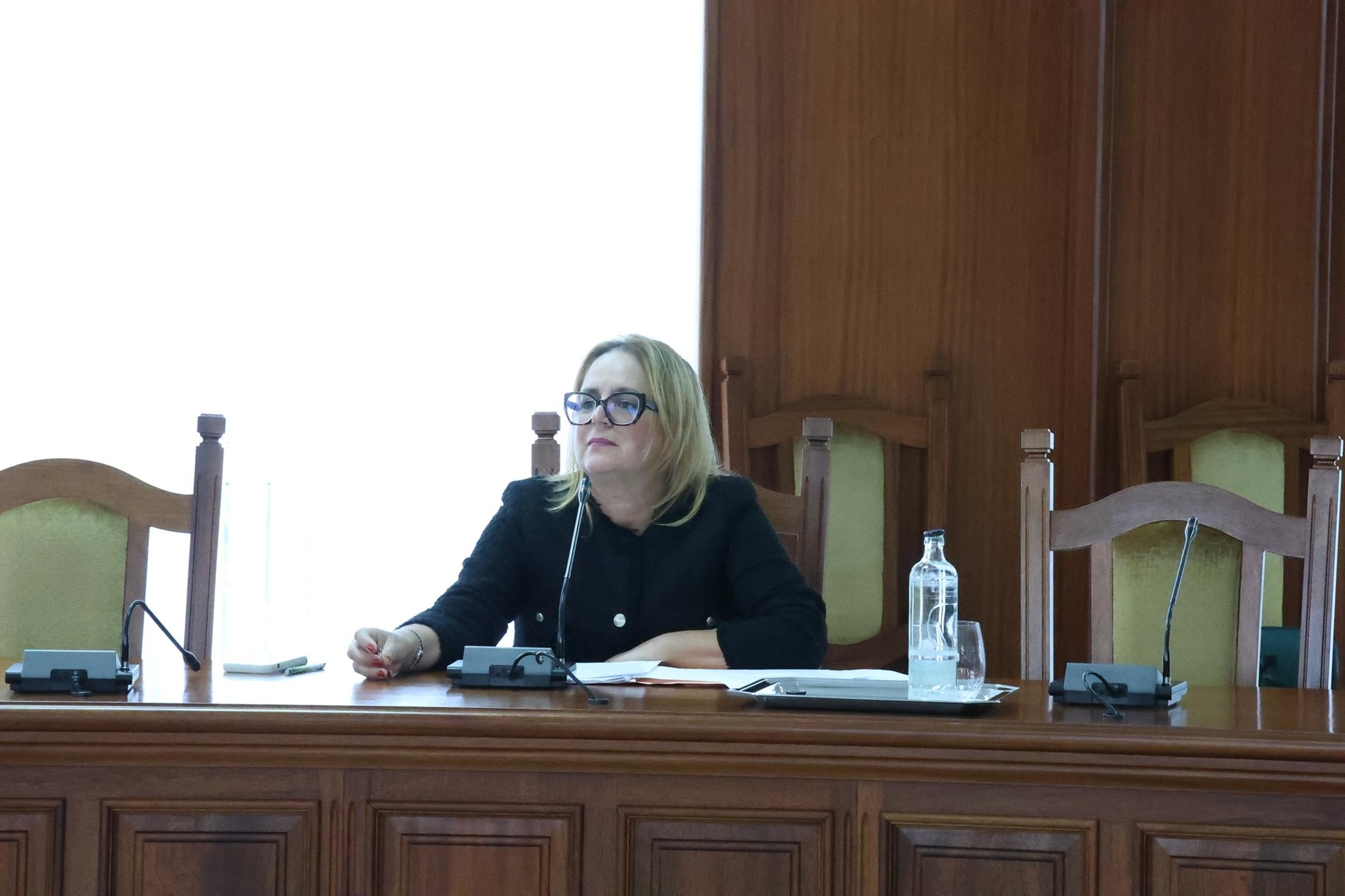 Nori Machín, consejera de Mayores en el Pleno del Cabildo de Lanzarote