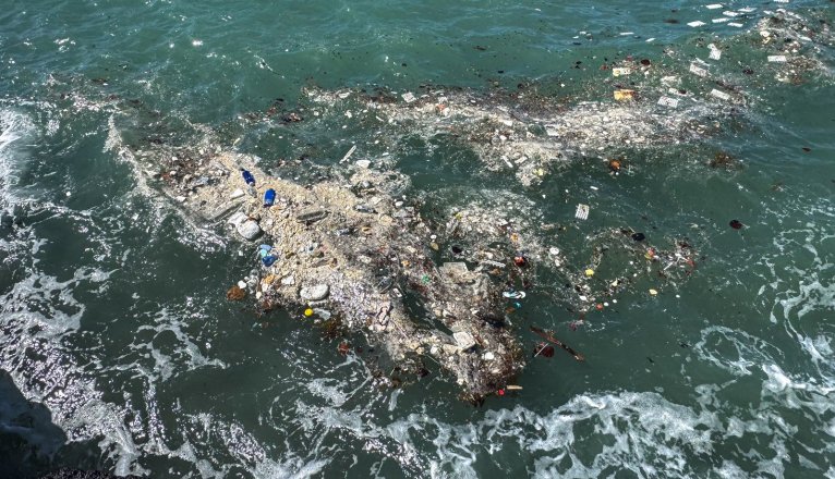 Marine litter in Arrecife. Photo: Andrea Domínguez.