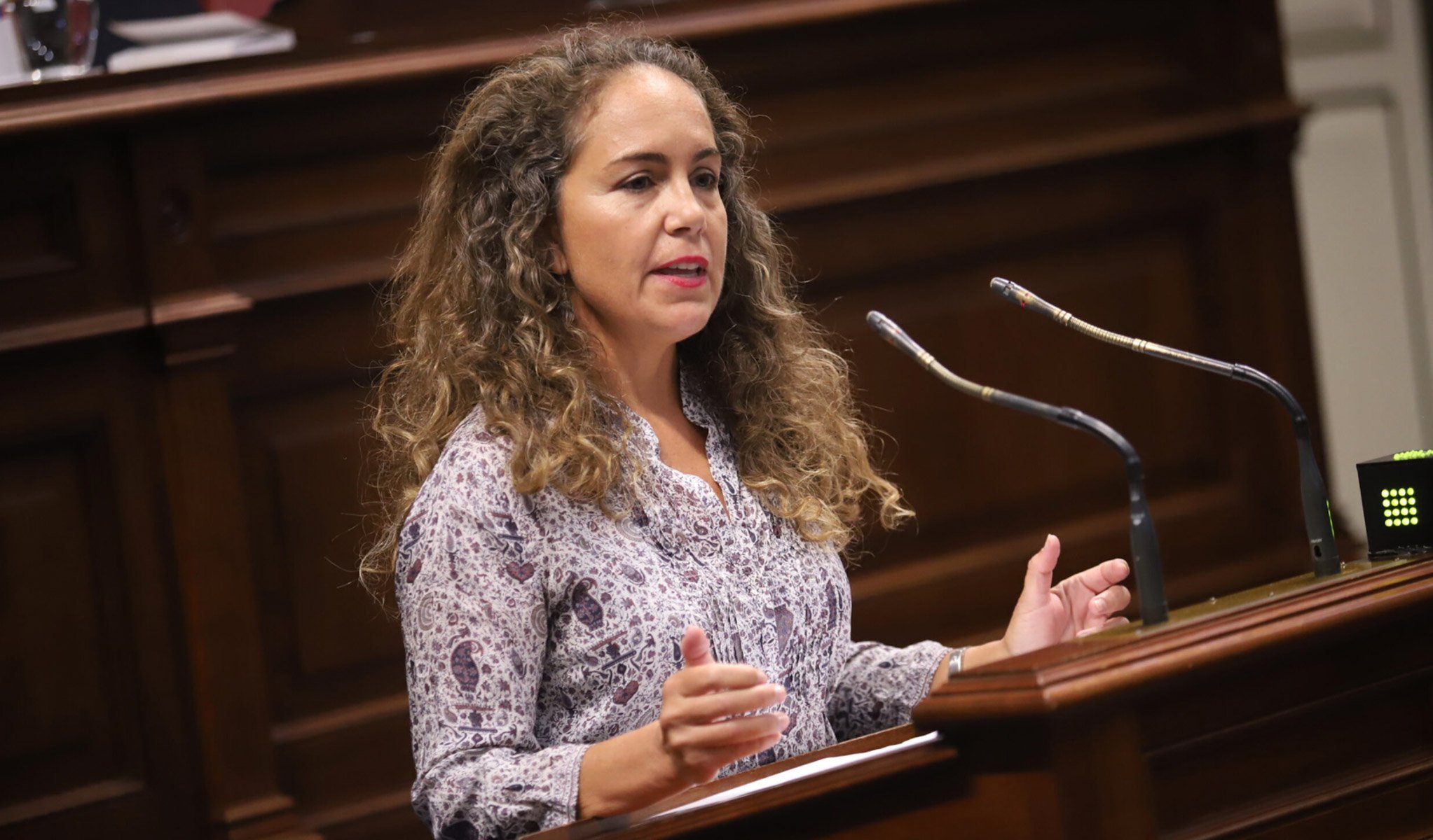Diputada de Vox en el Parlamento de Canarias, Paul Jover. Foto: VOX. Diputada de Vox en el Parlamento de Canarias, Paul Jover. Foto: VOX.