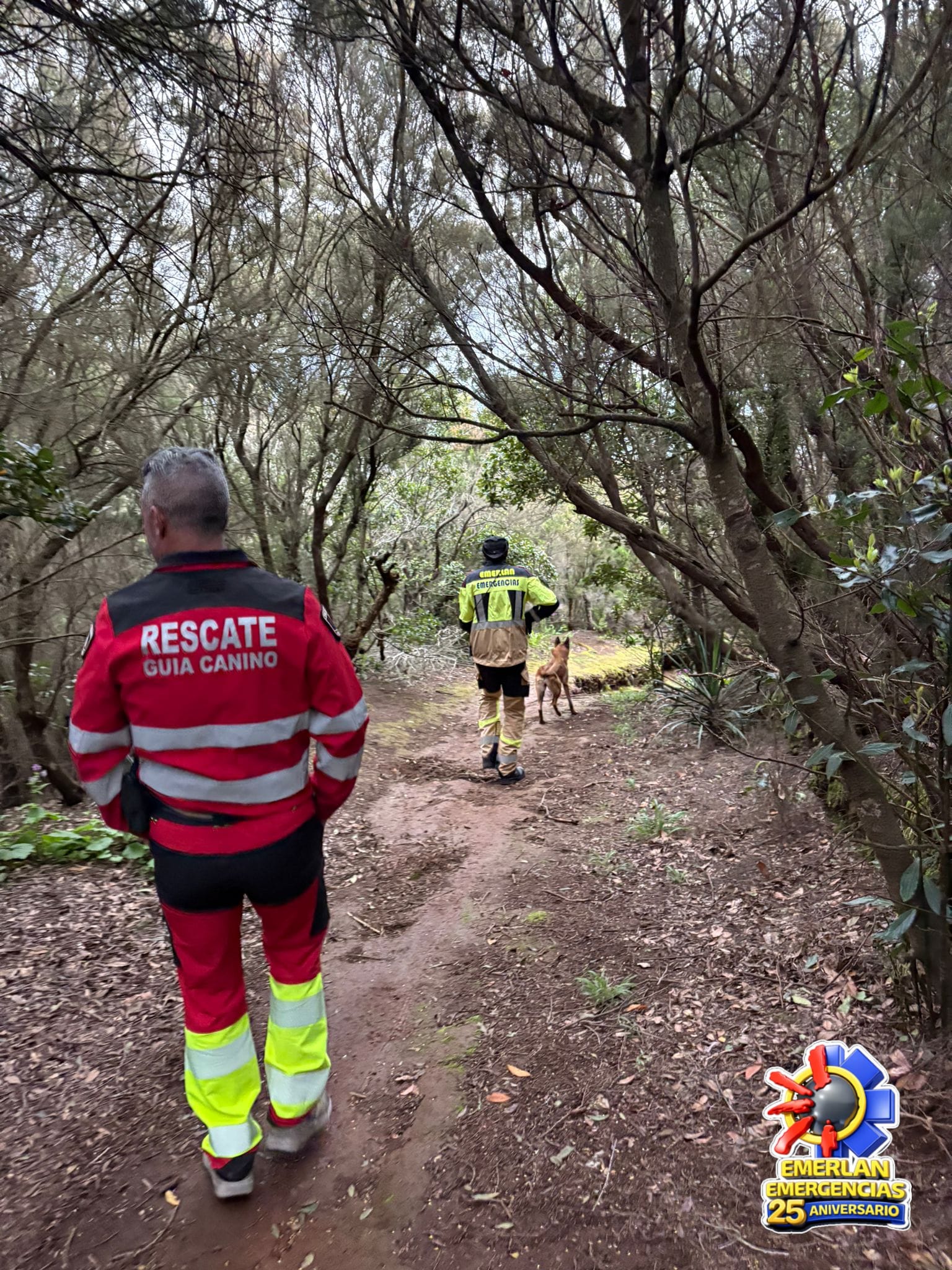 Actuaciones de Emerlan por la borrasca Therese