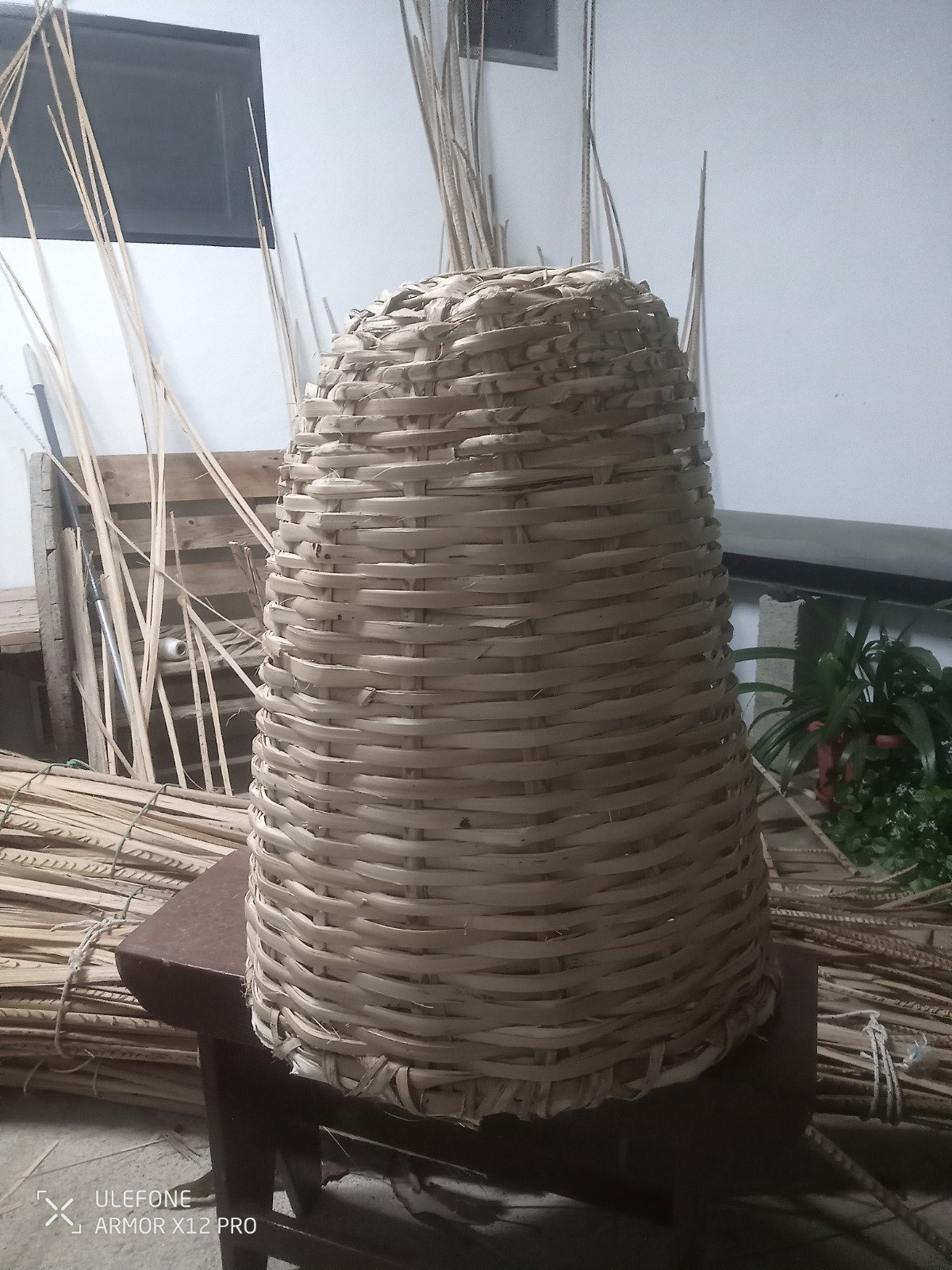 Cestas de pírgano elaboradas por Ruymán de León