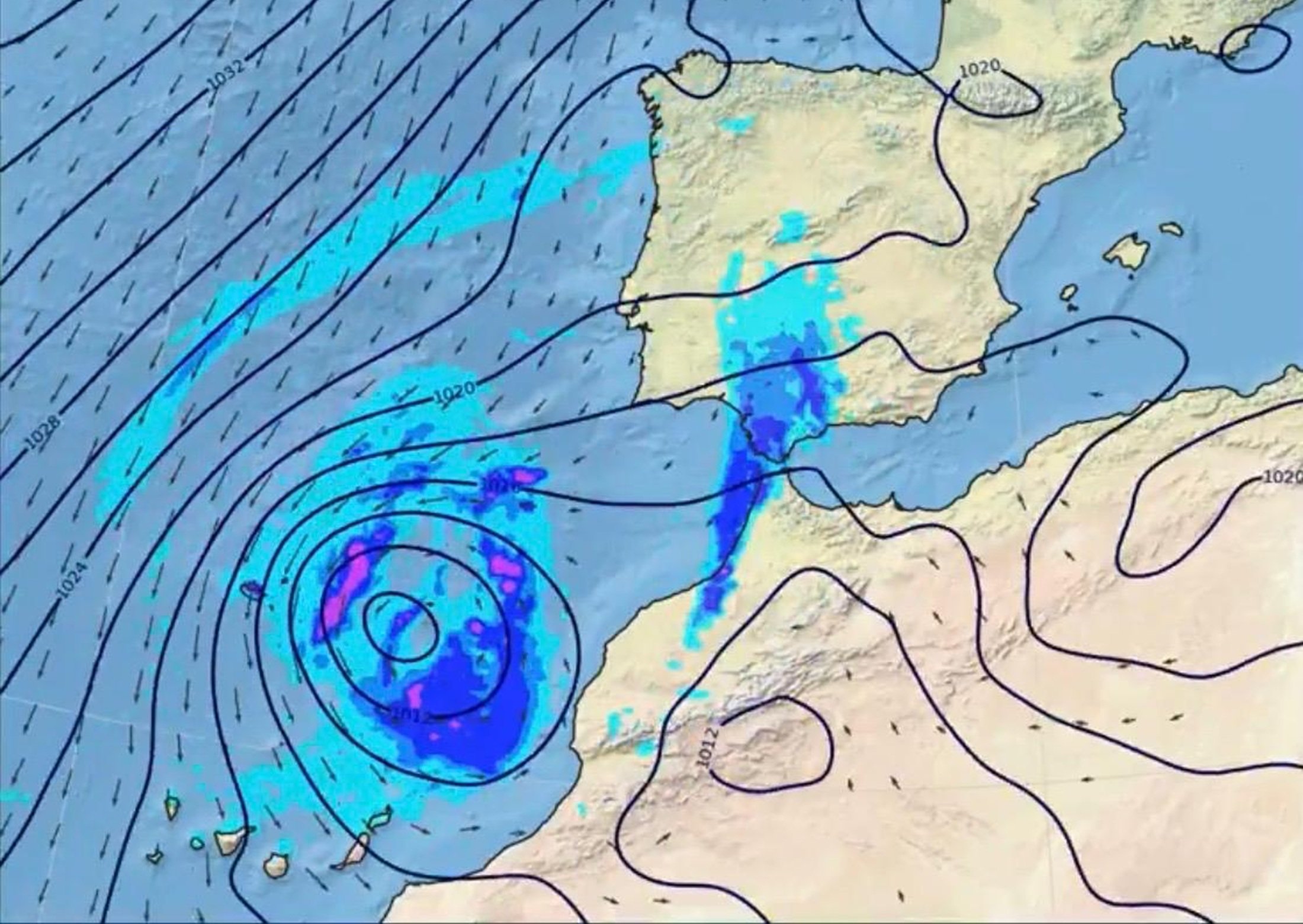 WhatsApp Image 2026 04 06 at 1.23.15 PMdd WhatsApp Image 2026 04 06 at 1.23.15 PMdd