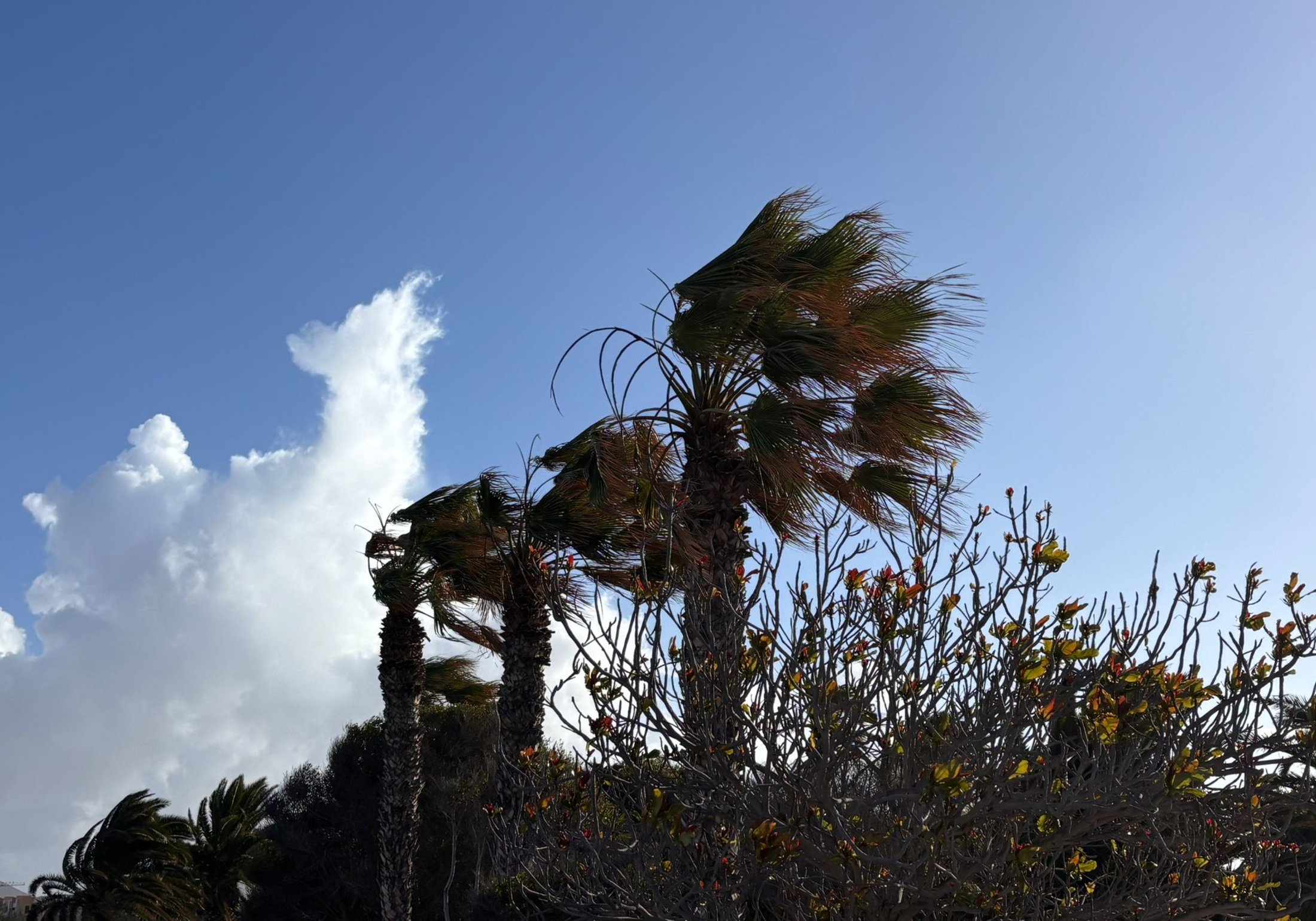Viento en Lanzarote. Foto: Michael Valdivia