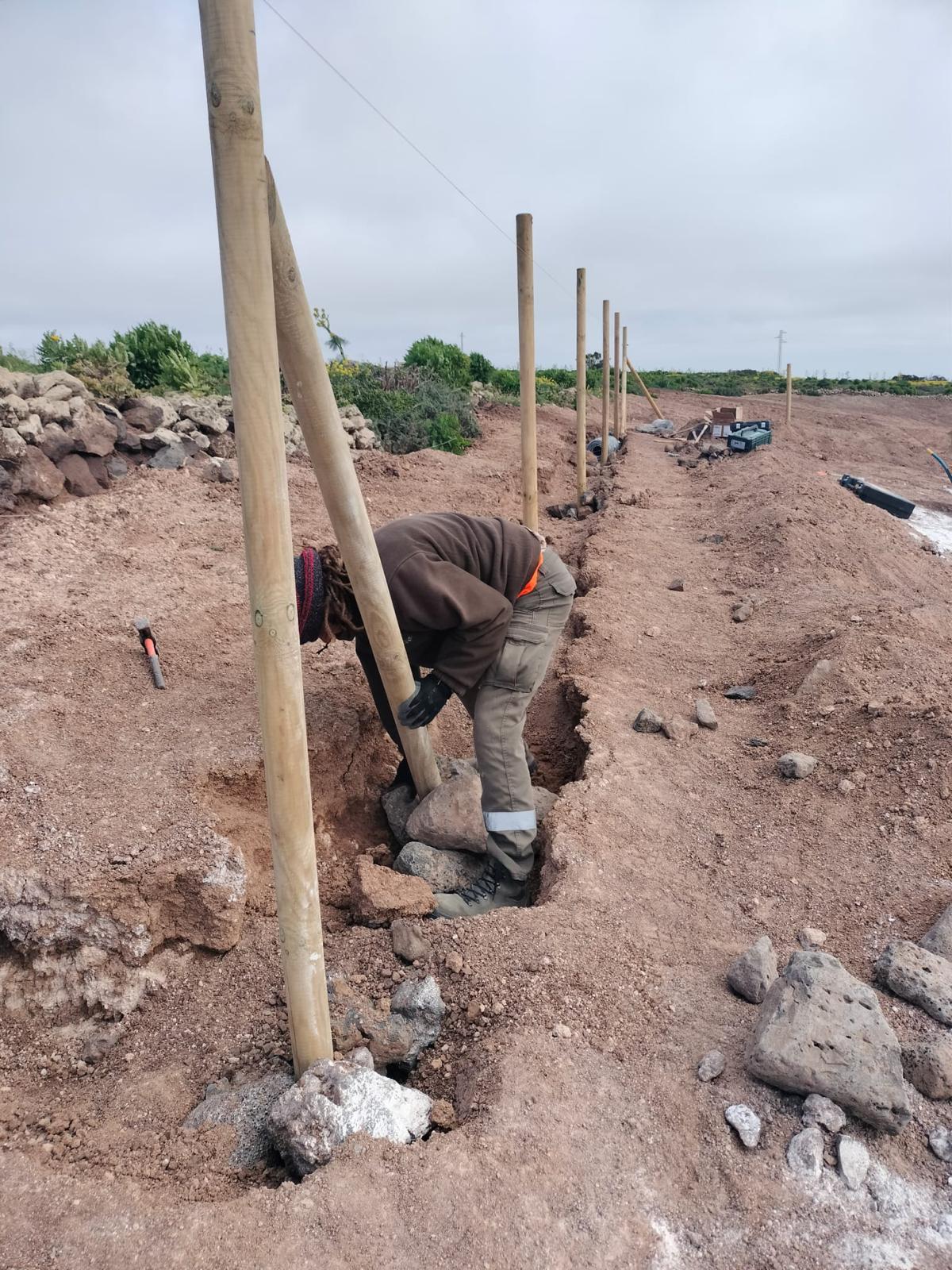 Trabajos de restauración de las cumbres de Famara Trabajos de restauración de las cumbres de Famara