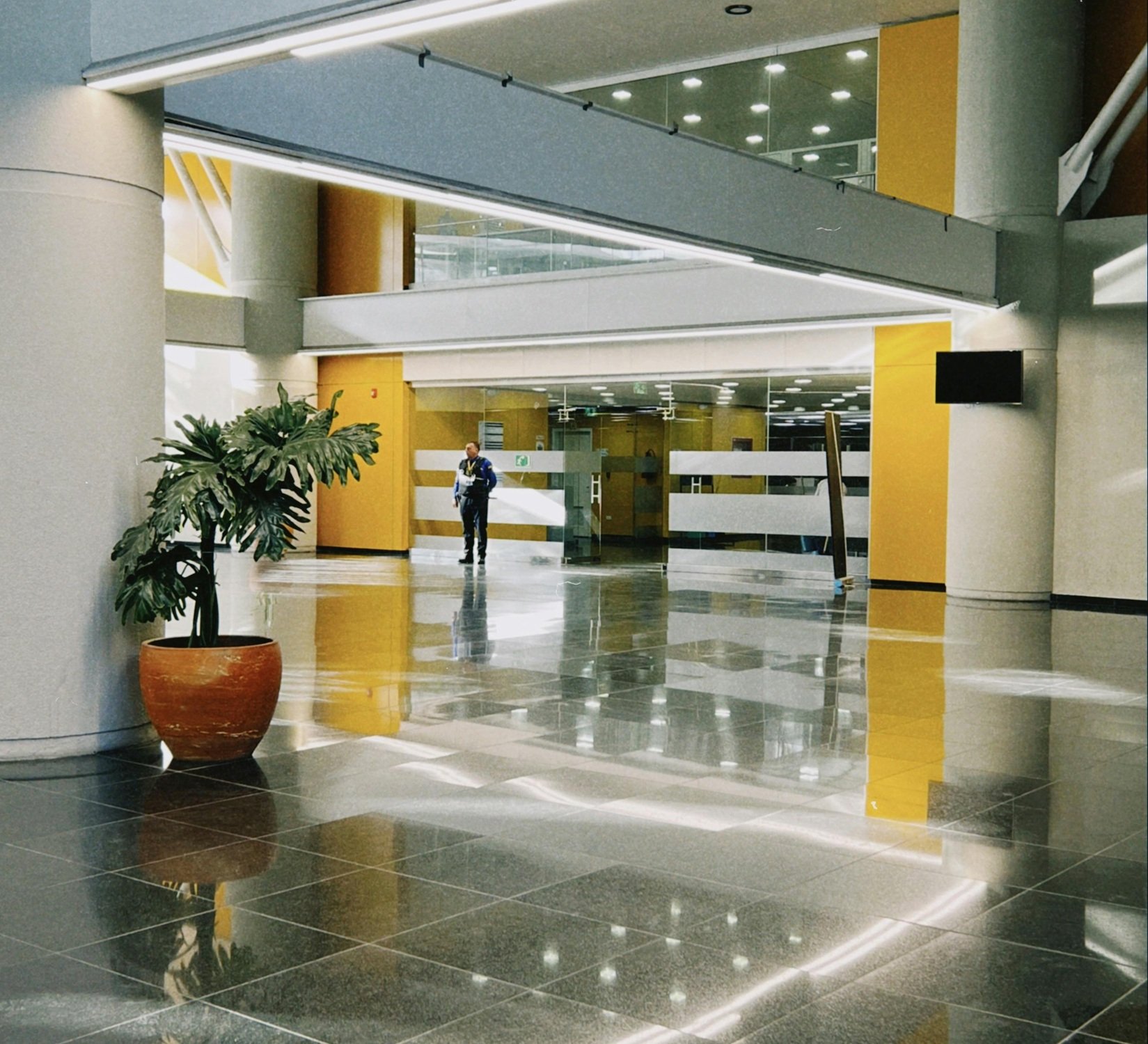 pexels alejandro robles duque 420889274 27742604