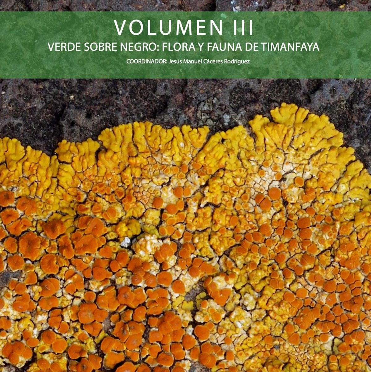 Uno de los volúmenes sobre el patrimonio del Parque Nacional de Timanfaya