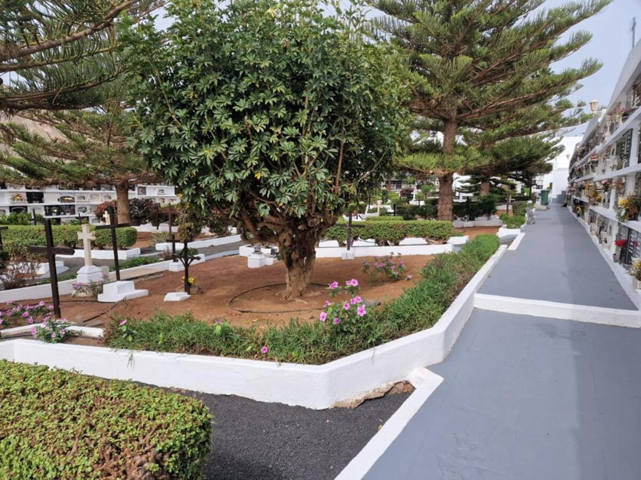 Cementerio de San Bartolomé