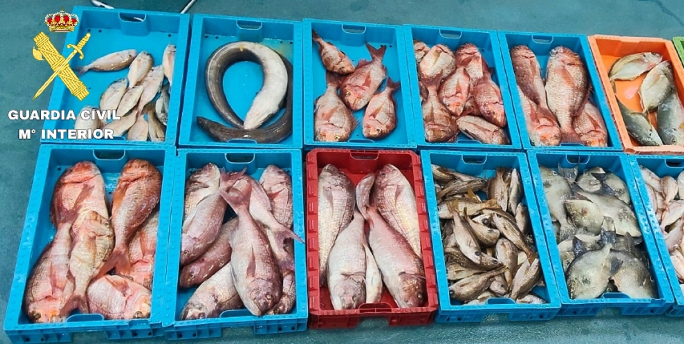 Pesca ilegal en La Graciosa