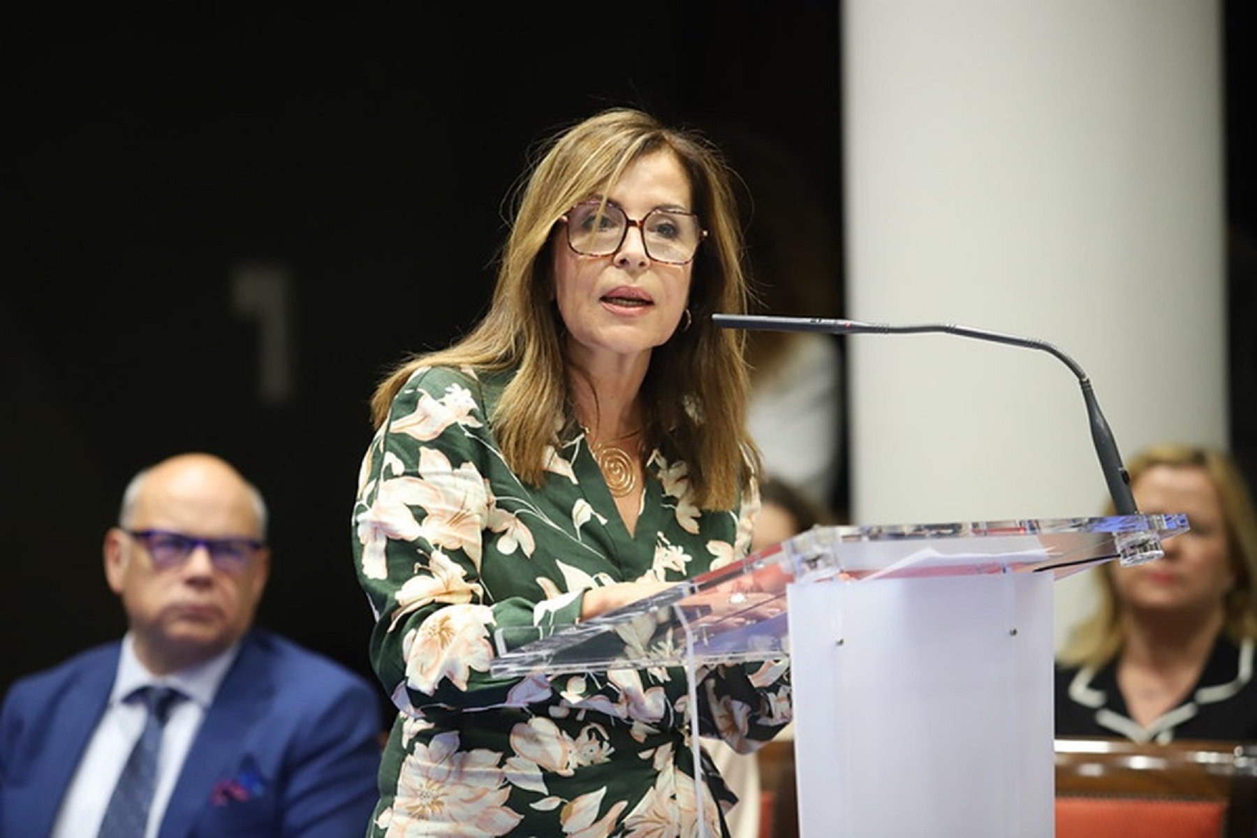 Dolores Padrón diputada del Común