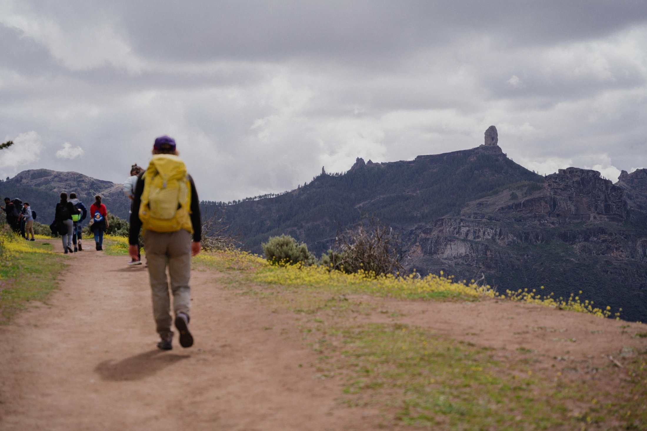 El proyecto Contramapas
