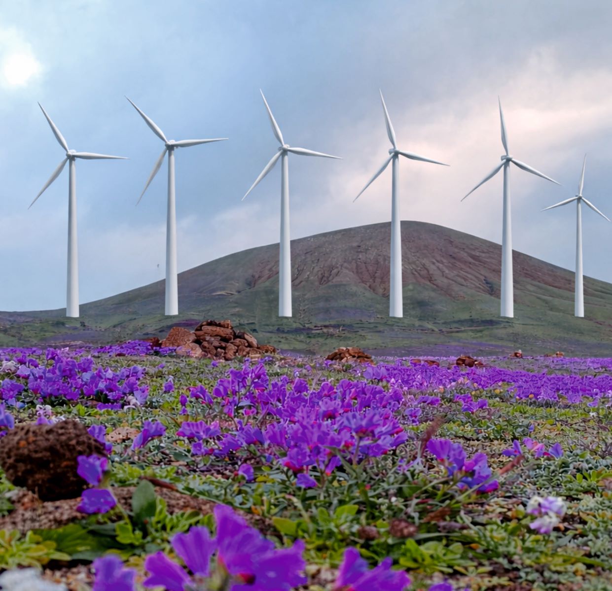 Molinos en San Bartolomé, Lanzarote. Energía.