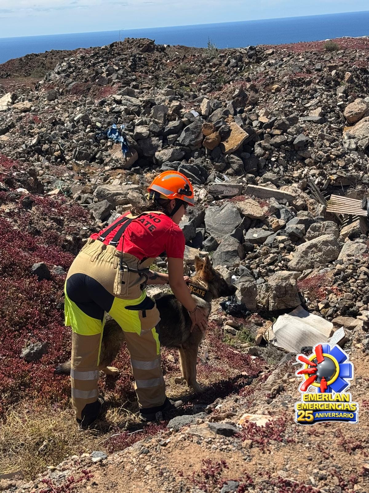 I Jornadas Cinológicas de Rescate Lanzarote