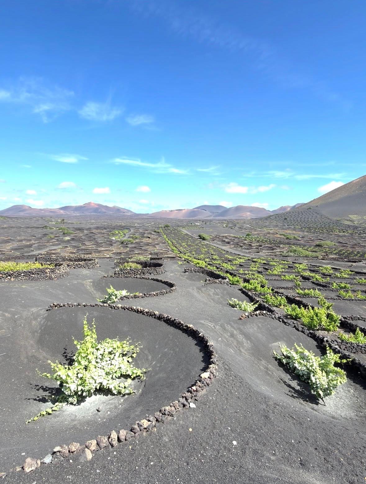 Antonio Lobato visita Lanzarote