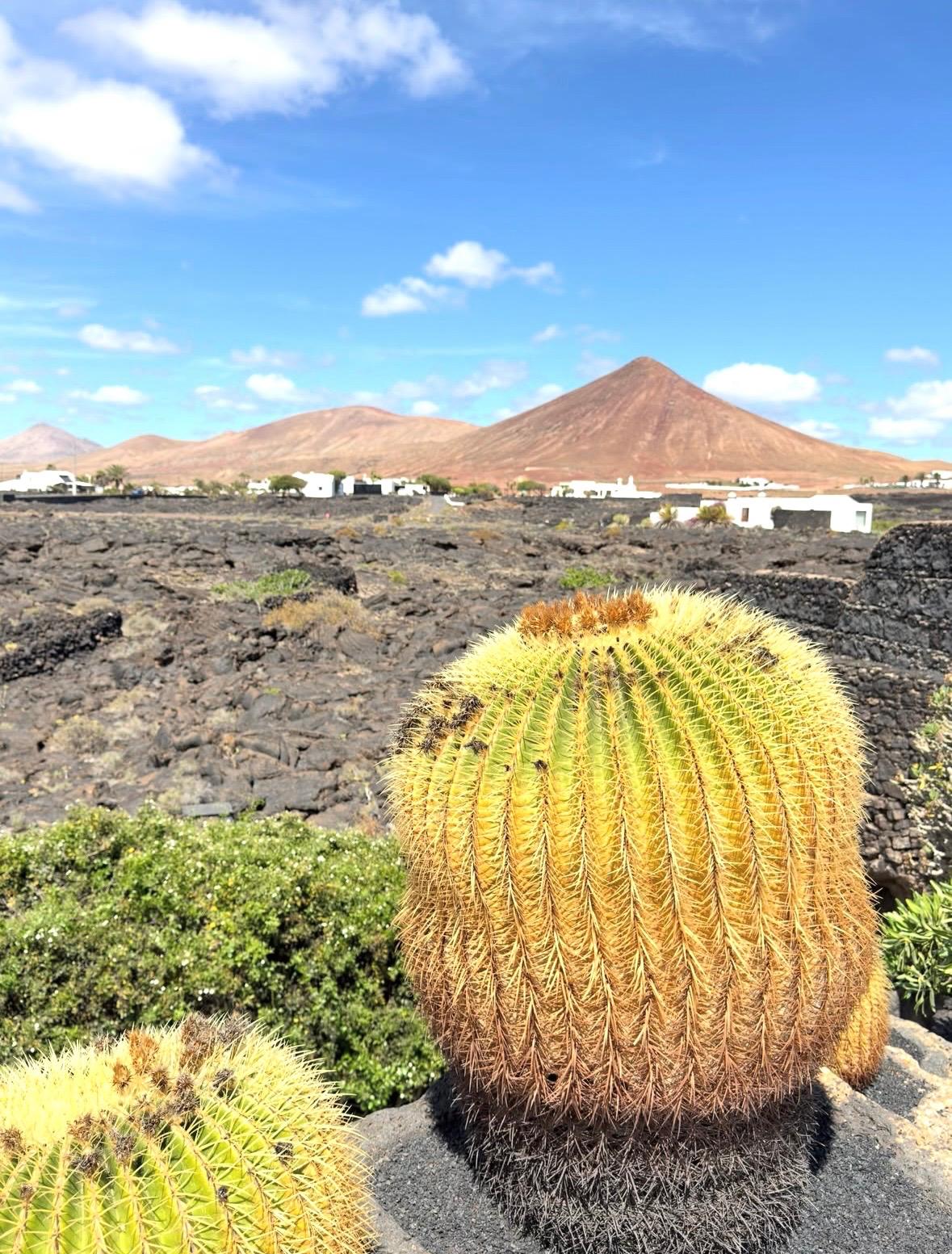 Antonio Lobato visita Lanzarote