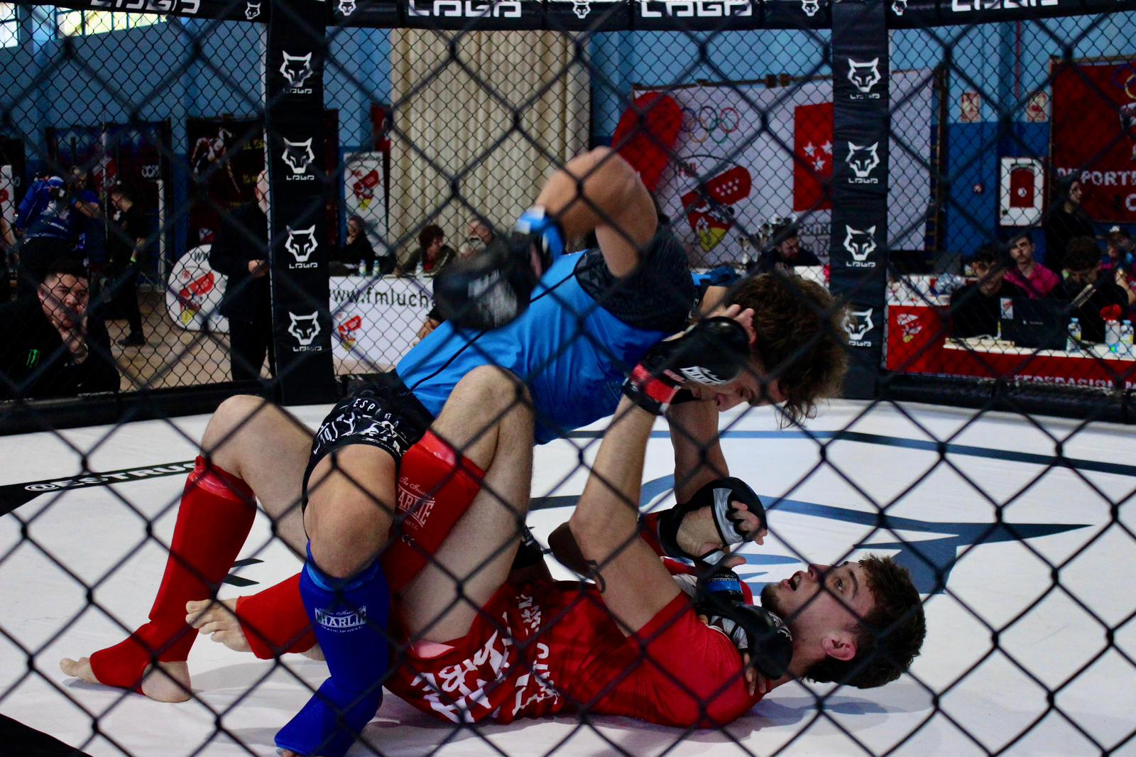 Campeonato de Madrid de MMA