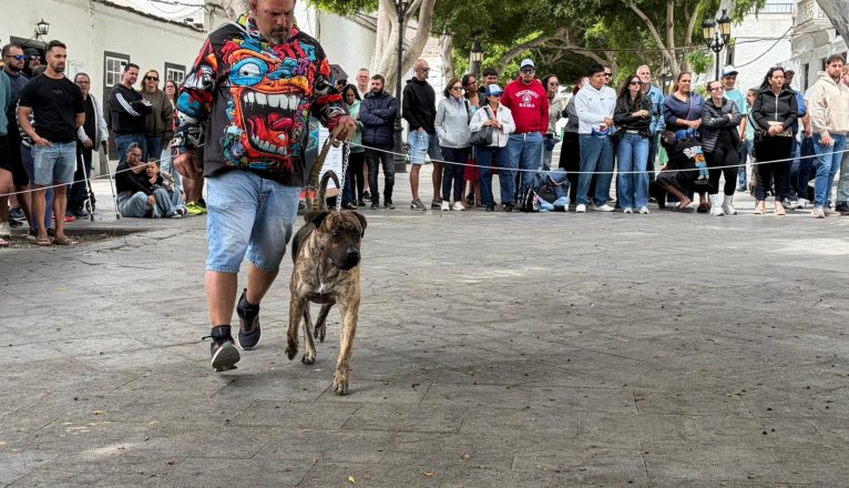Participante Evento Canino Haría 2026 Participante Evento Canino Haría 2026