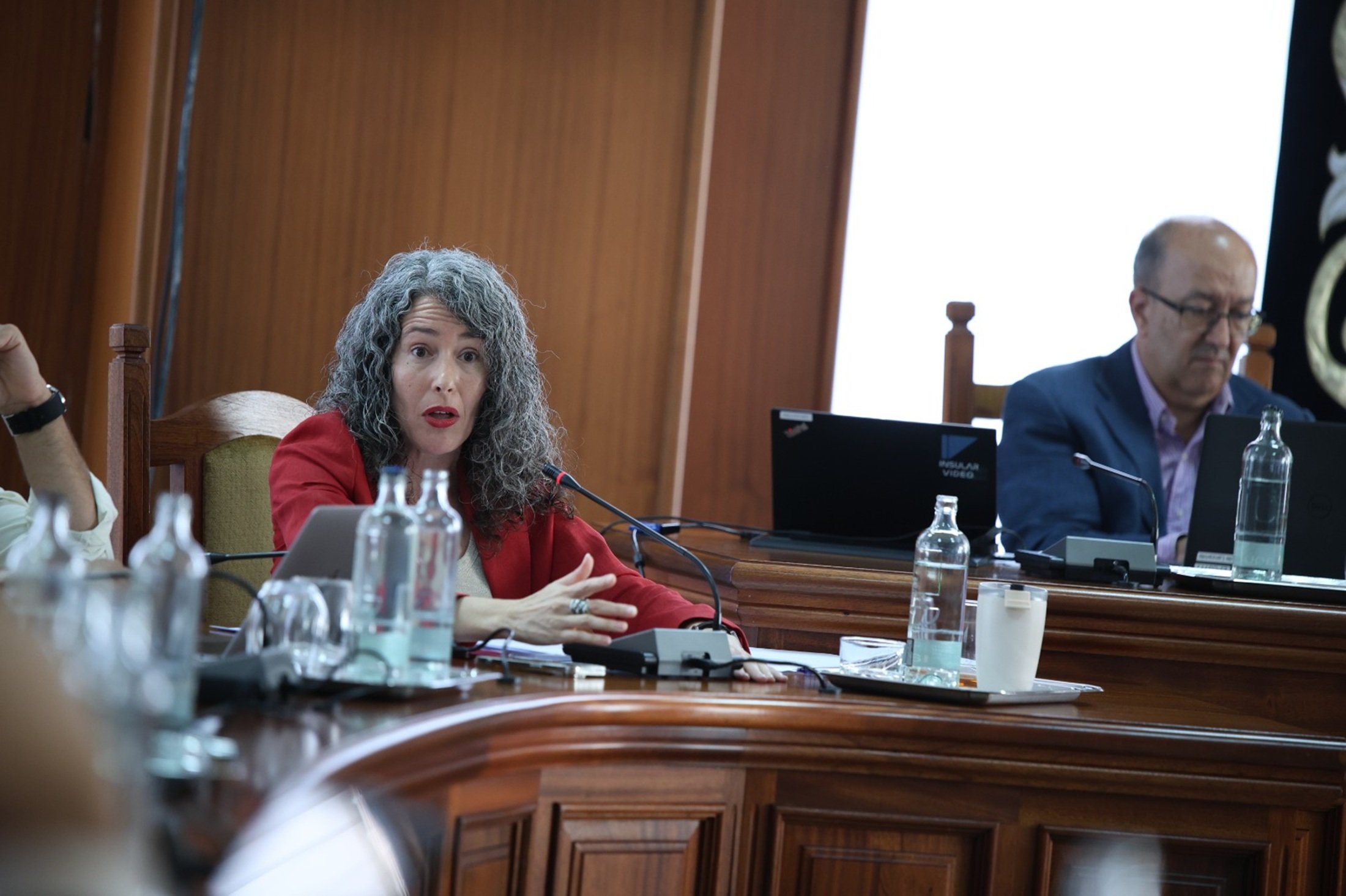 La portavoz del Grupo Socialista en el Cabildo de Lanzarote, Ariagona González