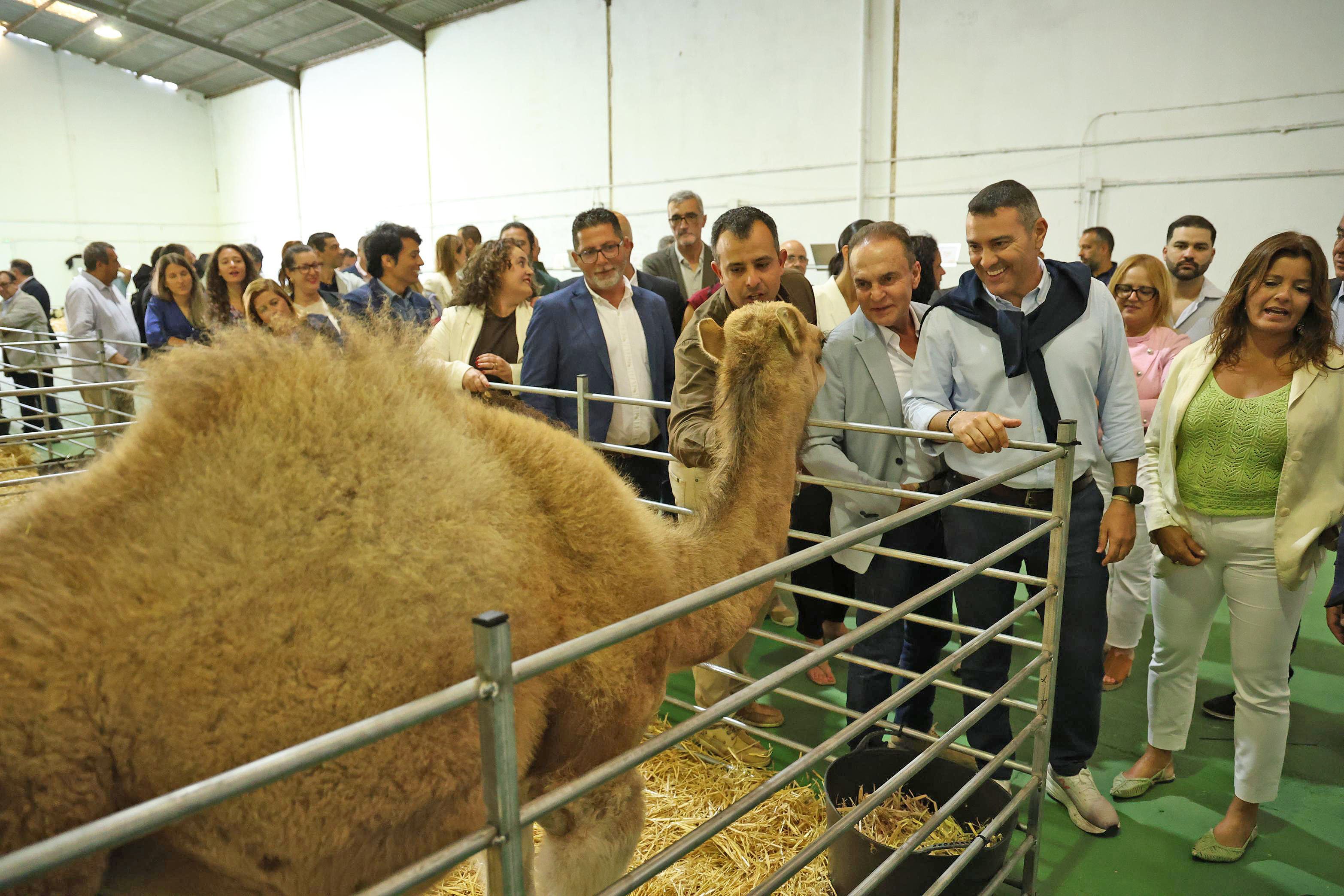 Inauguración de la Feria de Agricultura de Teguise