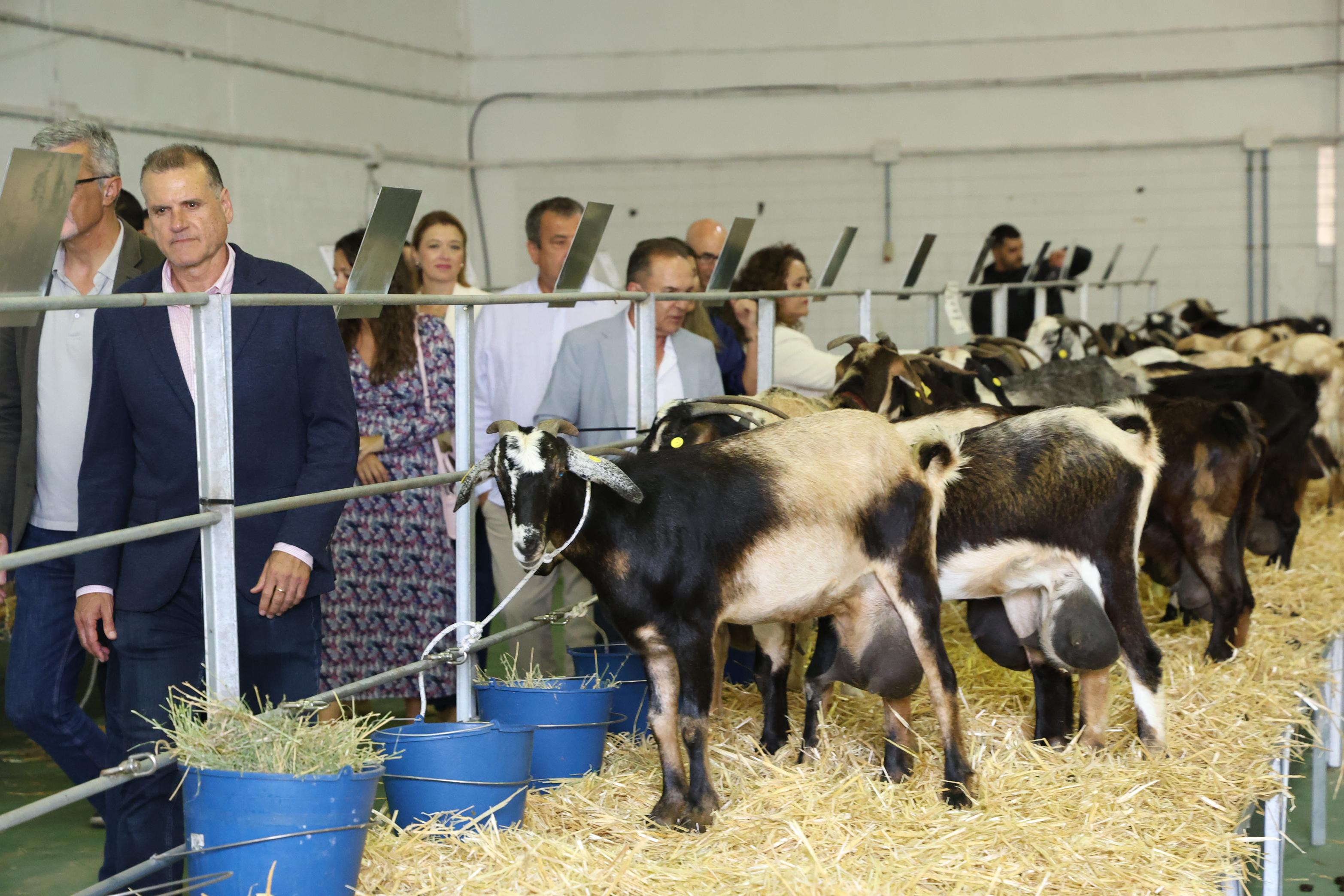 Inauguración de la Feria de Agricultura de Teguise