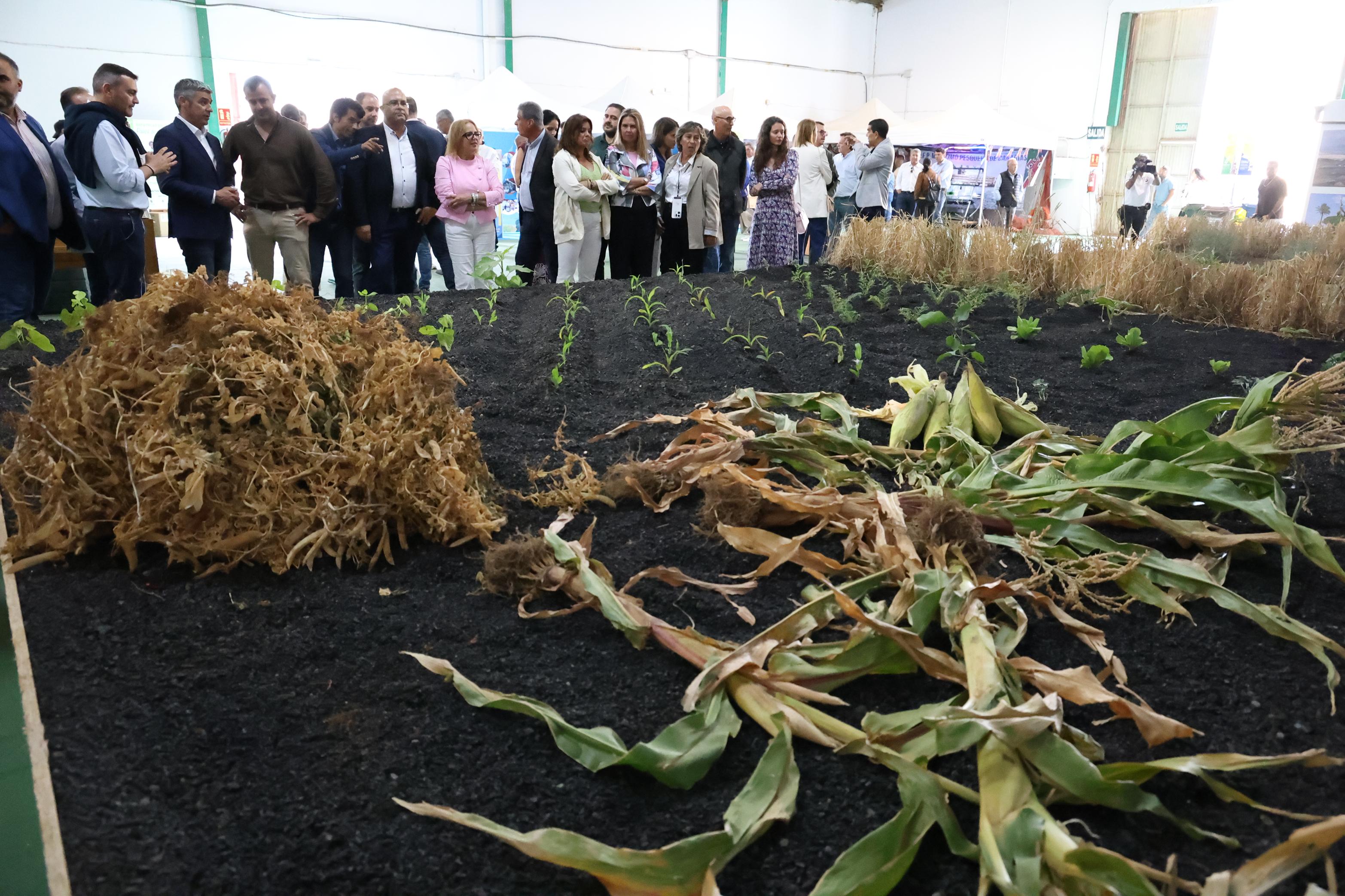 Inauguración de la Feria de Agricultura de Teguise