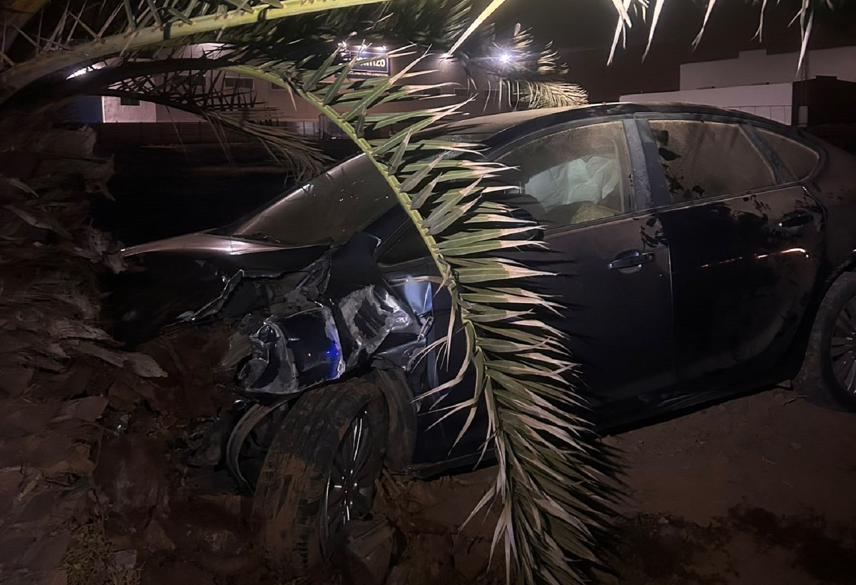Se estampa contra una palmera