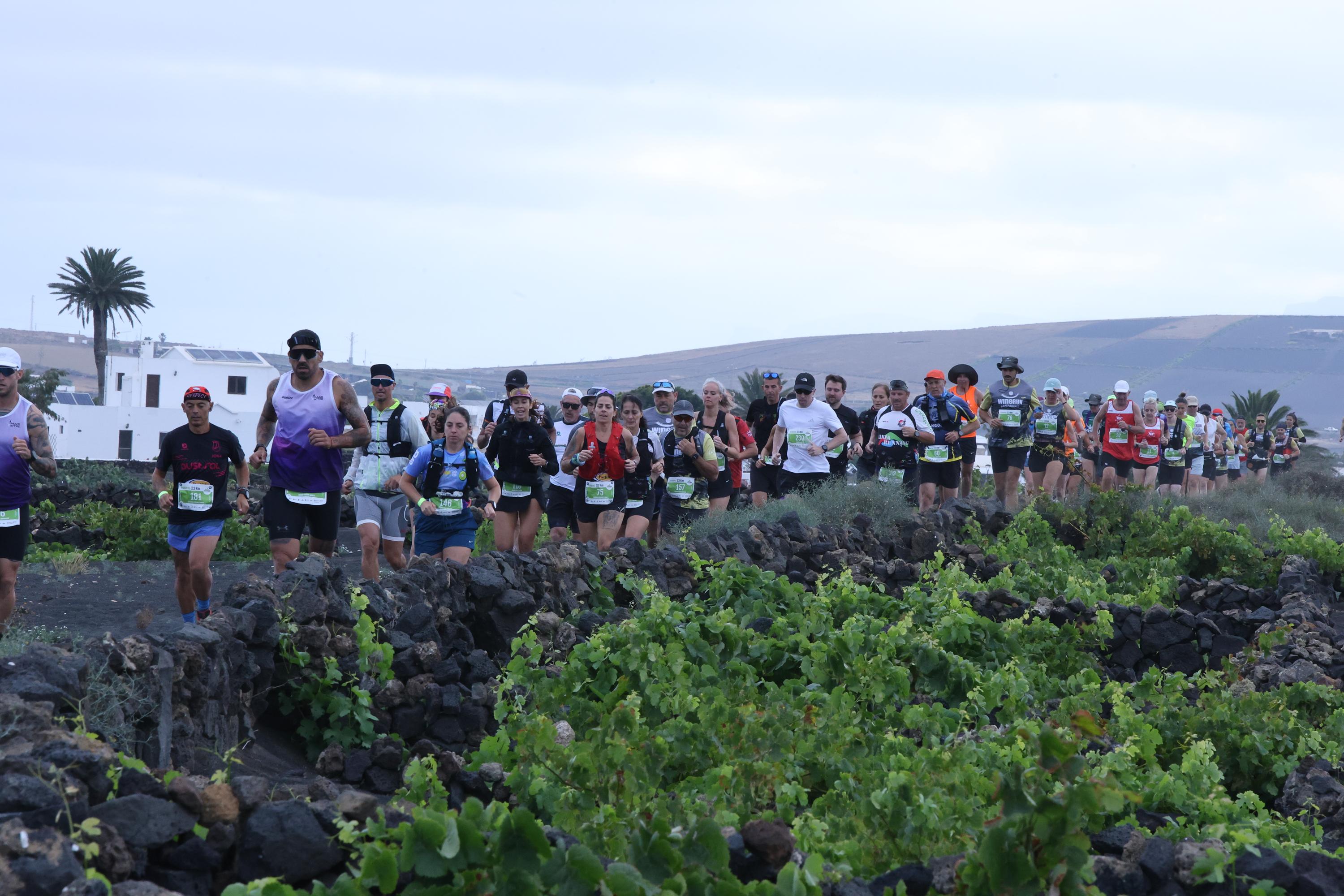 Wine Run, 2026