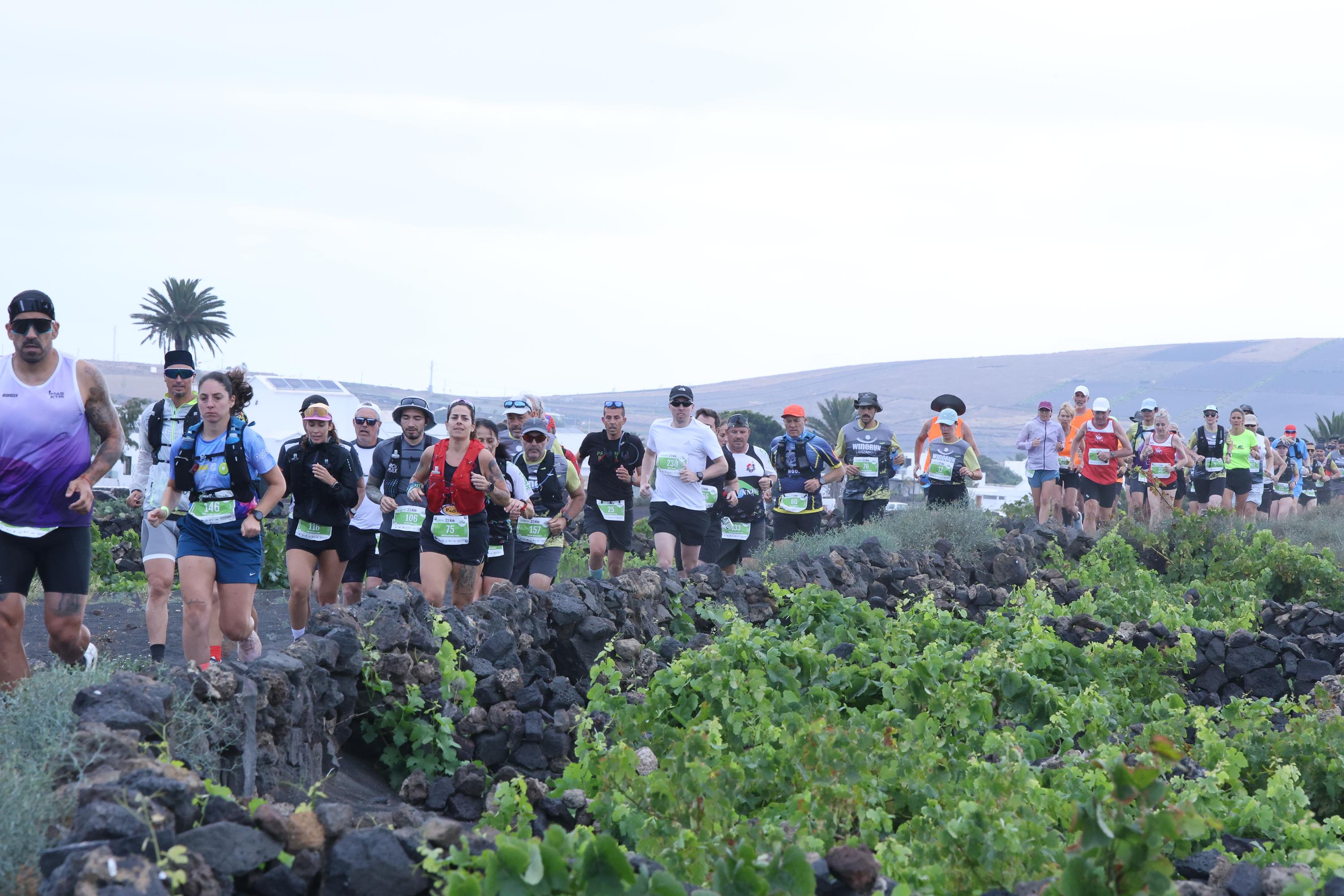 Wine Run, 2026