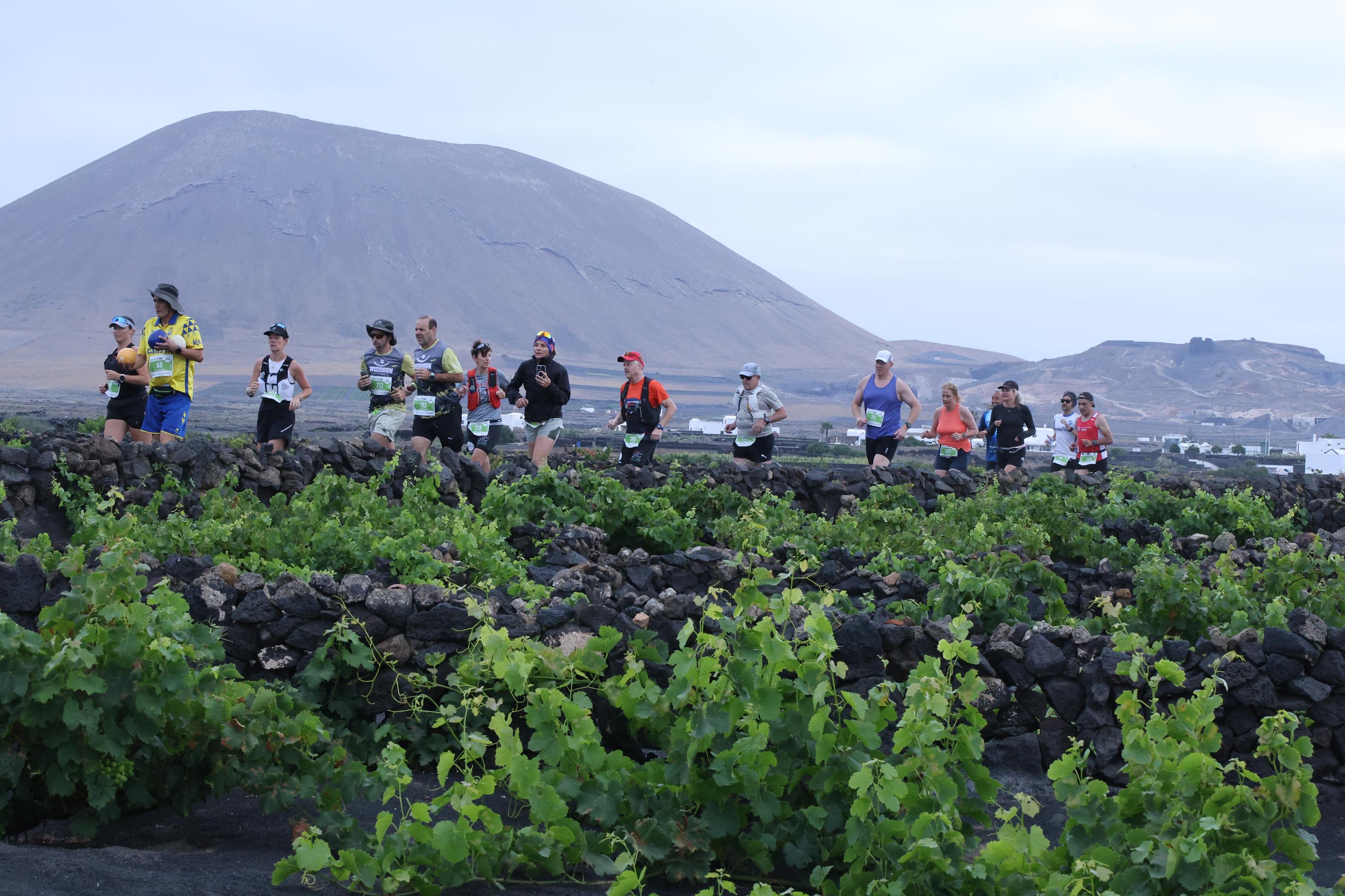 Wine Run, 2026