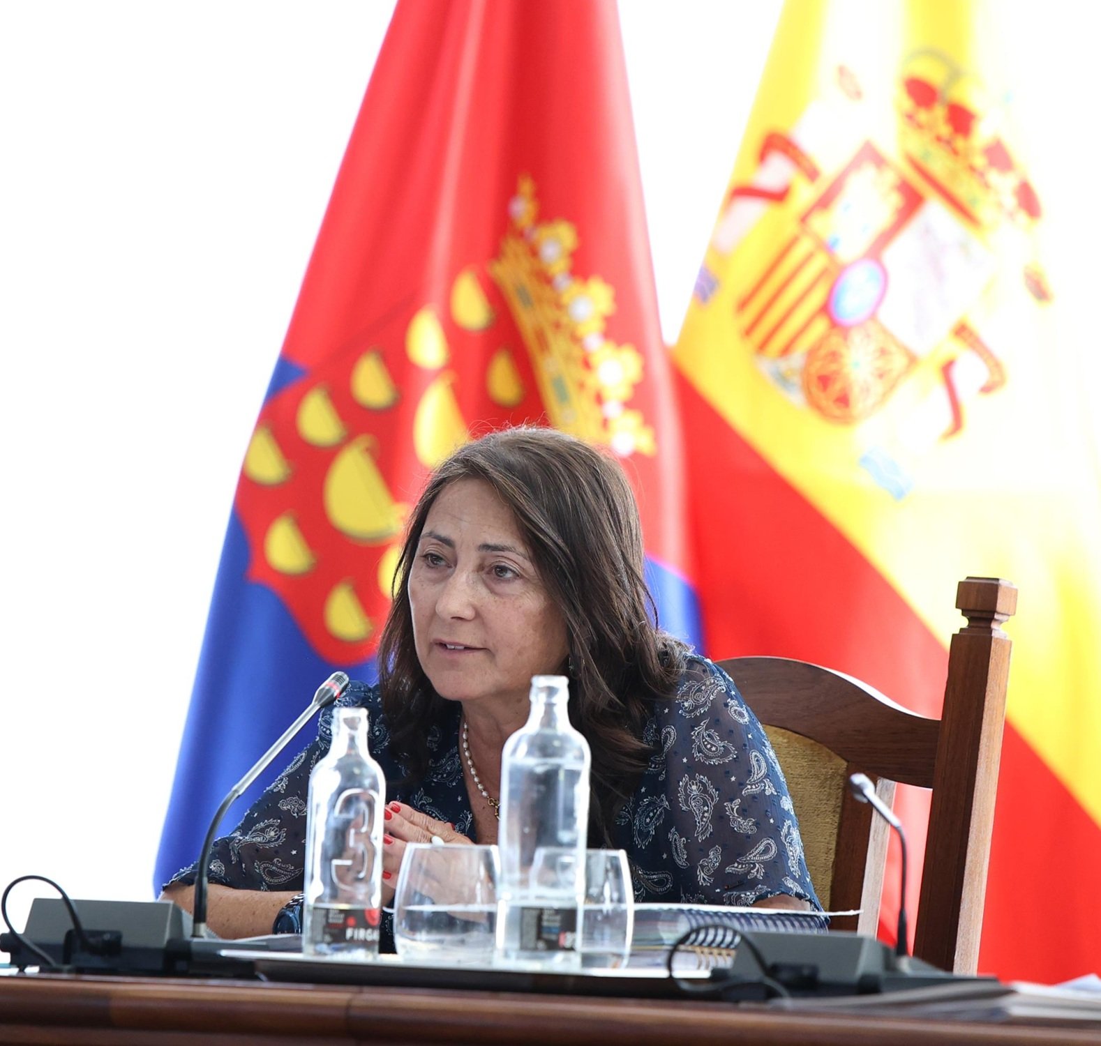 La consejera de Formación y Empleo inclusivo, Ascensión Toledo en el pleno ordinario del Cabildo de Lanzarote. La consejera de Formación y Empleo inclusivo, Ascensión Toledo en el pleno ordinario del Cabildo de Lanzarote.