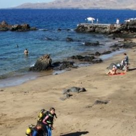 Tías permite de nuevo el baño en Playa Chica ante la desaparición del banco de medusas