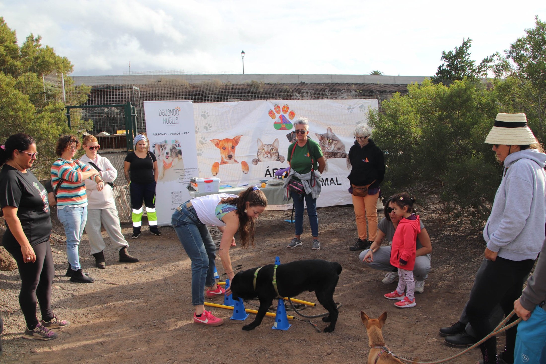 Jornadas Bienestar Animal 2025