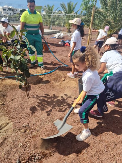 Iniciativa escolar de reforestación de la zona de la Casa Mayor Guerra de San Bartolomé 