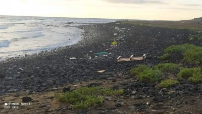 Limpieza de playas Lanzarote Limpia