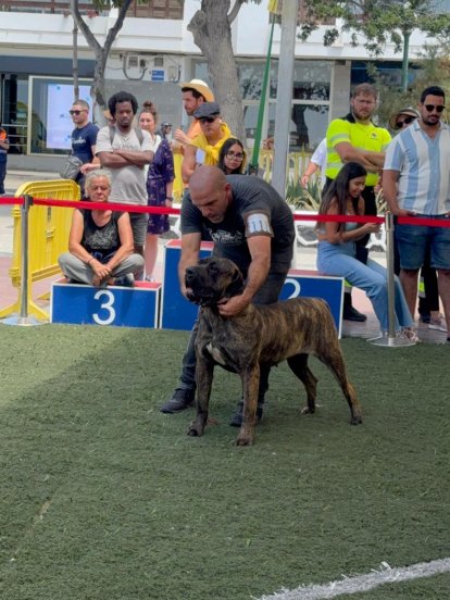 Club Lanzaroteño del Presa Canario