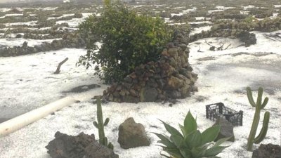 Imagen de un jardín en Masdache tras la garnizada