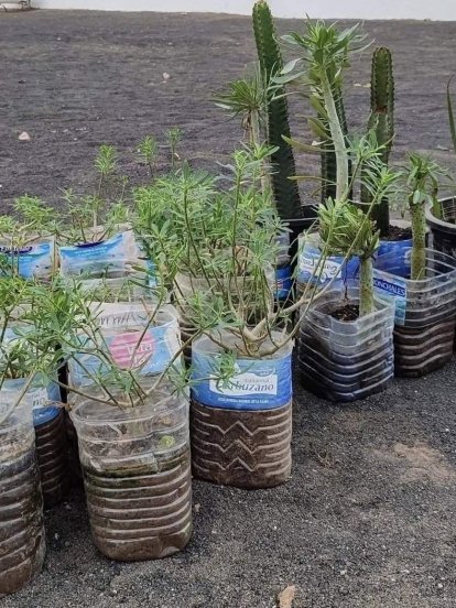 Iniciativa de Arrecife Natura